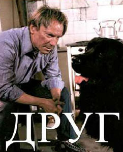 друг