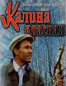калина красная