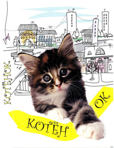 котенок